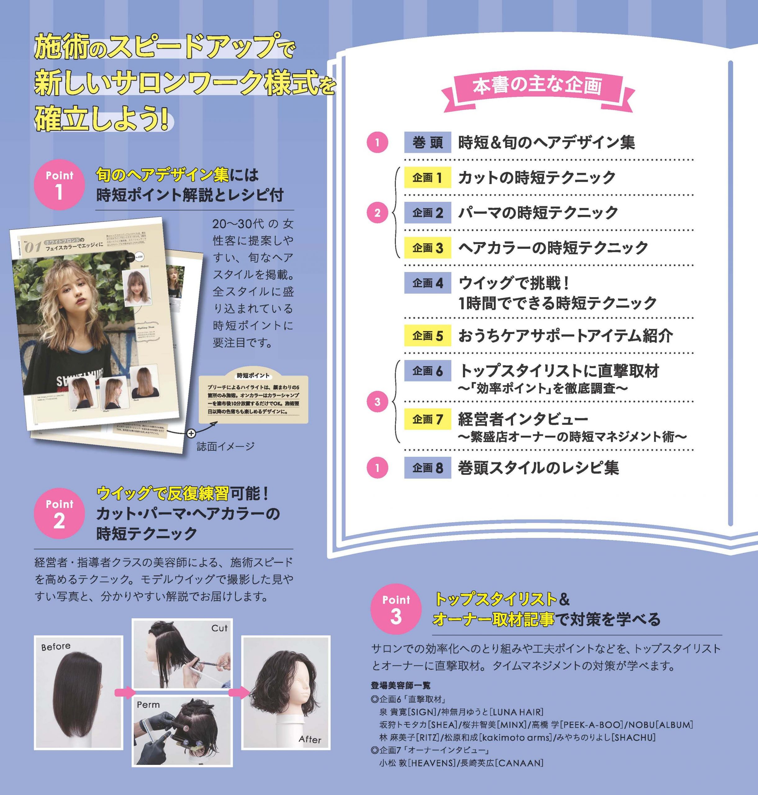 スピード施術テクニック 内容ページ2